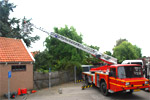 boom rooien met telescoopkraan