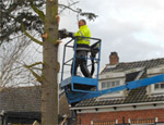 bomen rooien Geersdijk